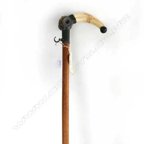RARE WALKING CANE w MICROSCOPE INSET HIPPO TUSK HANDLE